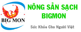 Nông Sản Sạch Big Mon